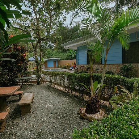 Oasis Diverse Adult Retreat Quepos Buitenkant foto